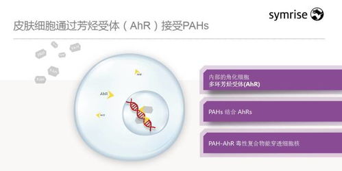 技術(shù)賦能 智美未來——梅鶴祥談化妝品新科技趨勢與前瞻思考